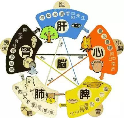 微信图片_20190523101626.jpg