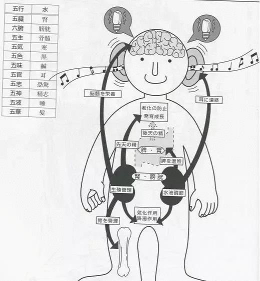 微信图片_20190523101341.png