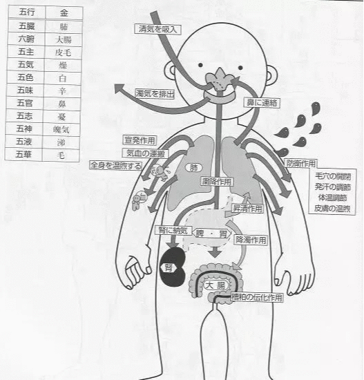 微信图片_20190523101359.png